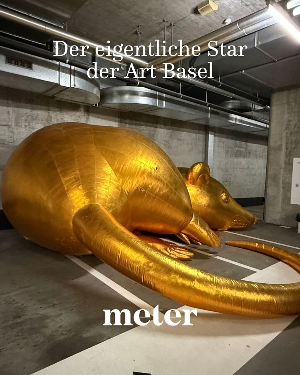 Der eigentliche Star der Art Basel 