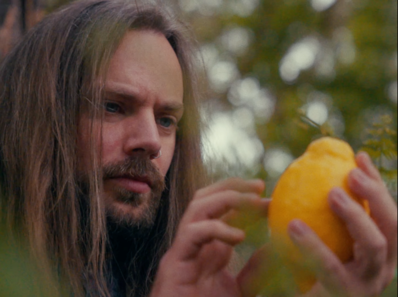 Wanna taste the Lemon? Watch Citrus Leaves Video HERE!