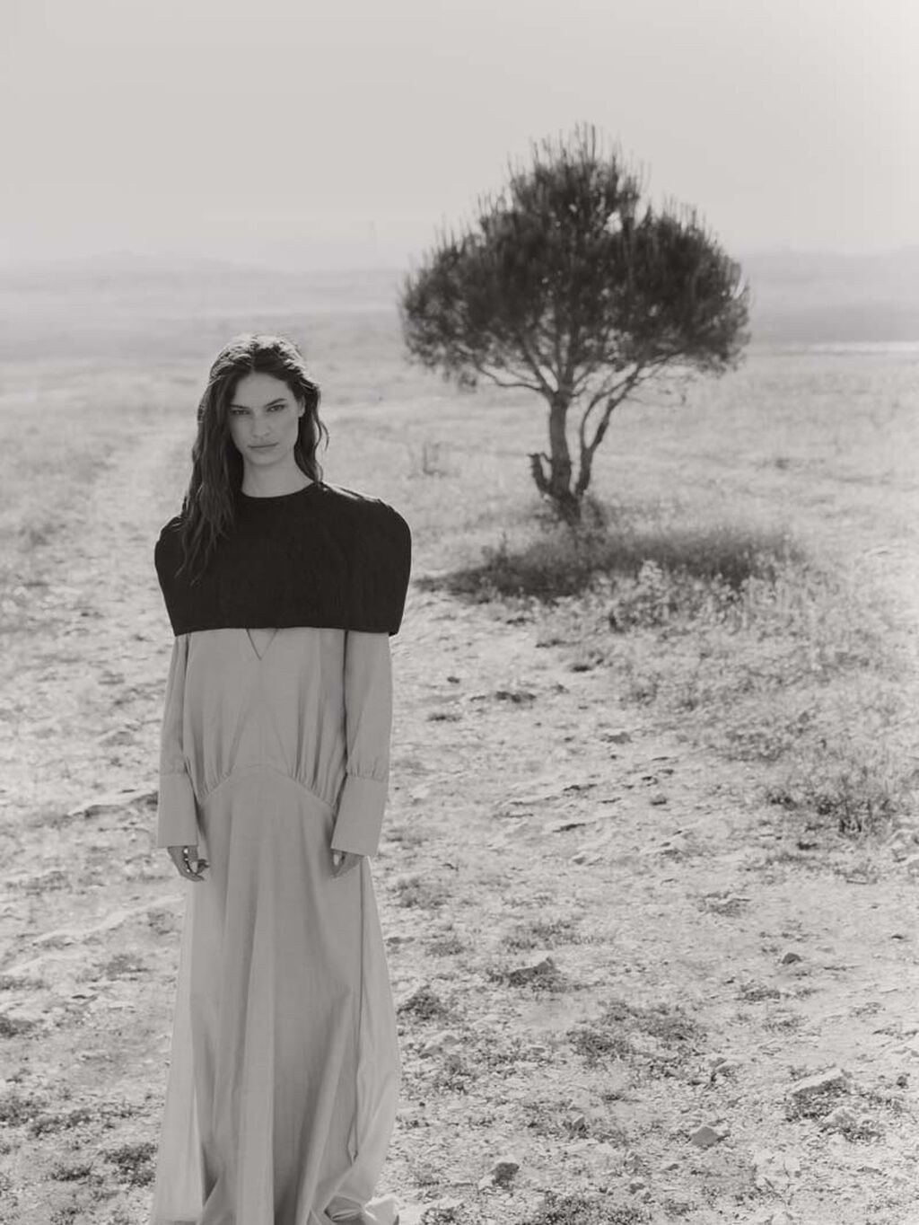 editorial