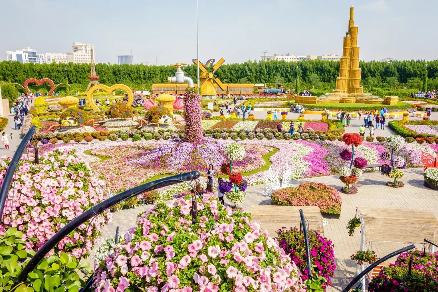Dubai Miracle Garden