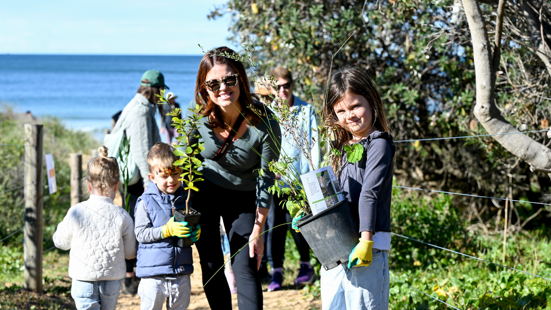 National Tree Day on the Central Coast - Killcare Beach