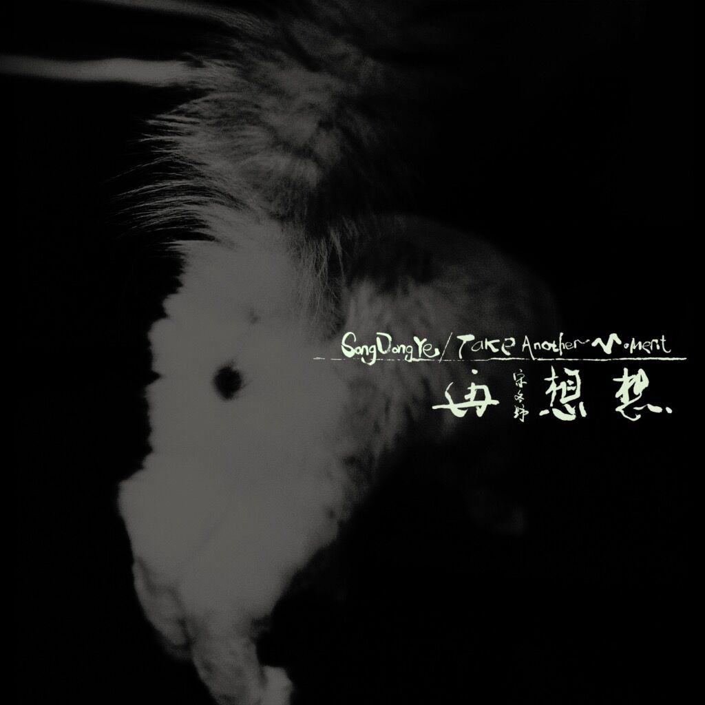 来这里聆听 SONG DONGYE 宋冬野 的《再想想》 