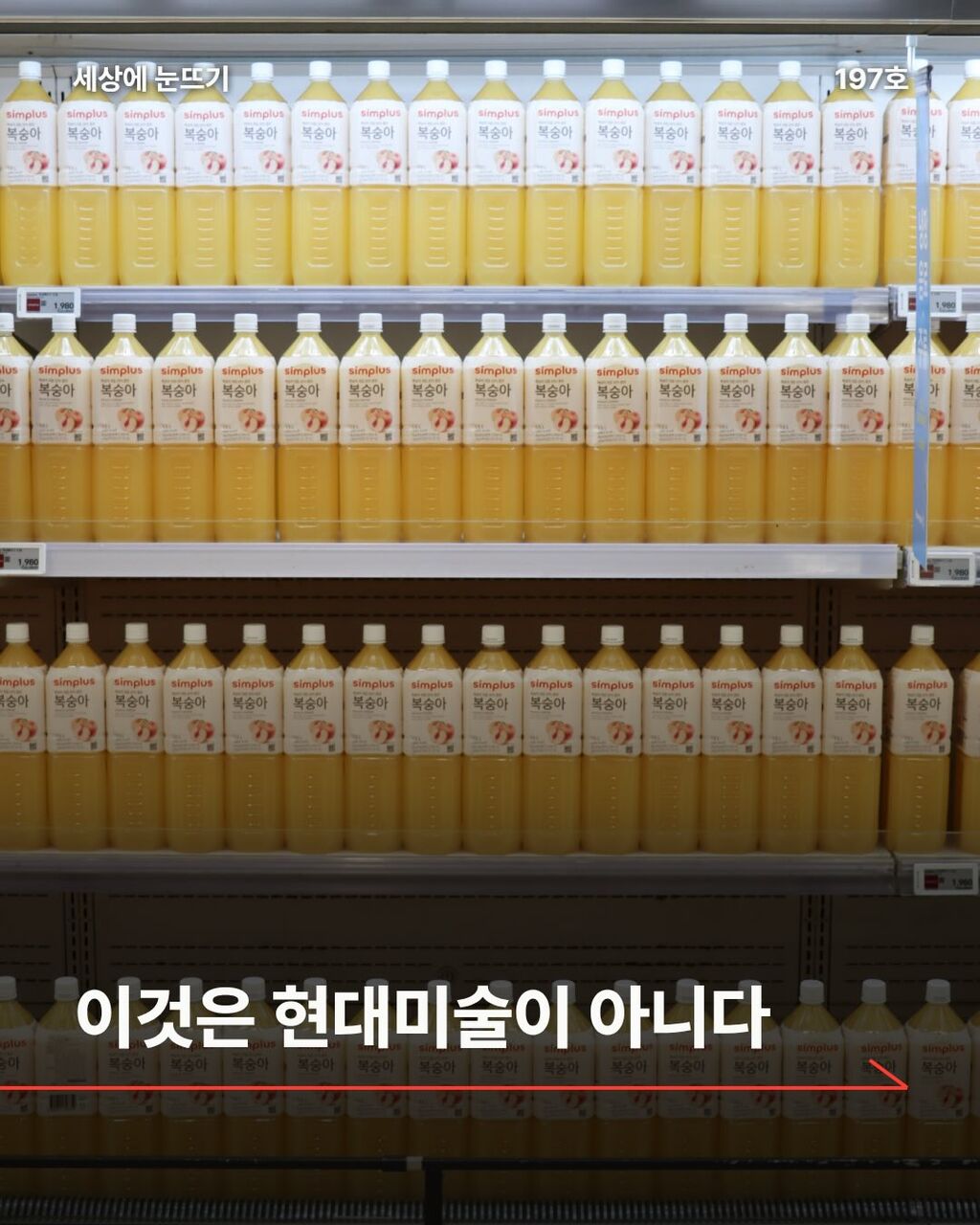 이것은 현대미술이 아니다
