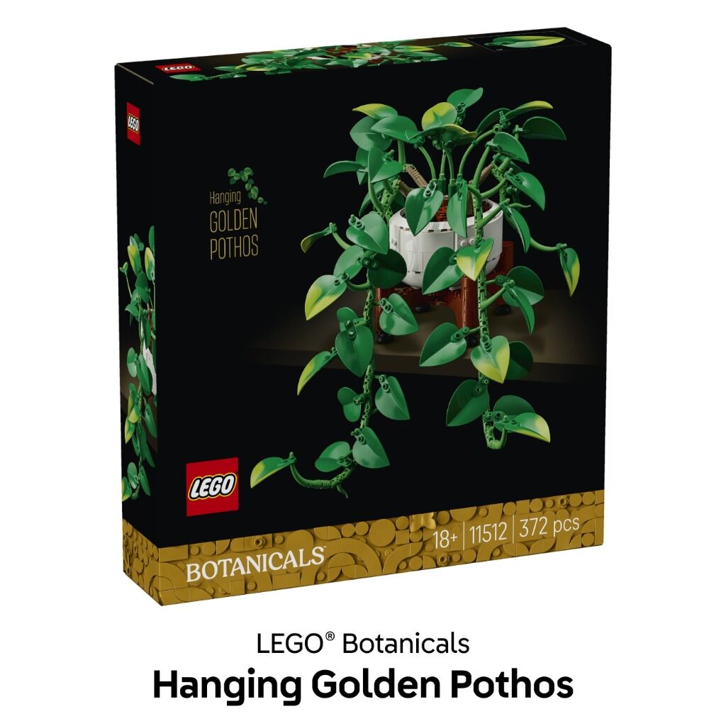 Hanging Golden Pothos