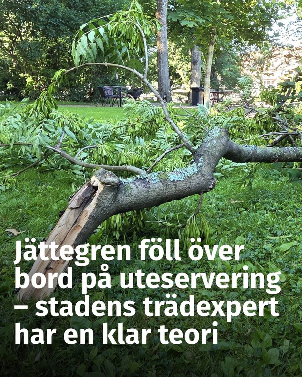 &rdquo;H&ouml;rde d&aring; glasen sprack&rdquo; &ndash; stor gren f&ouml;ll &ouml;ver bord p&aring; uteservering i &Aring;bo