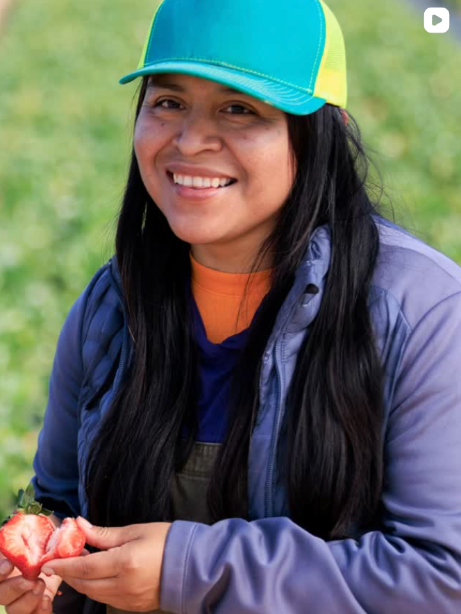 International Year of the Woman Farmer - California Strawberry Commission