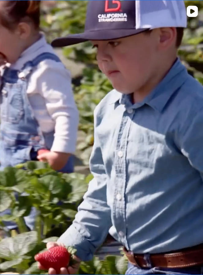 Strawberry Farmer Stories - California Strawberry Commission
