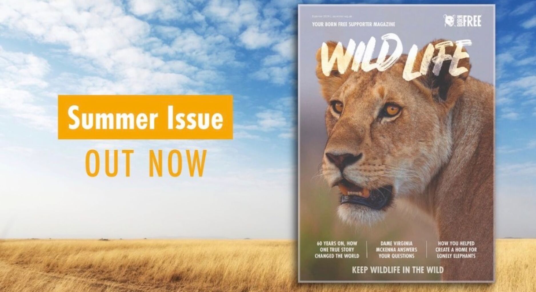 Wild Life Summer Issue