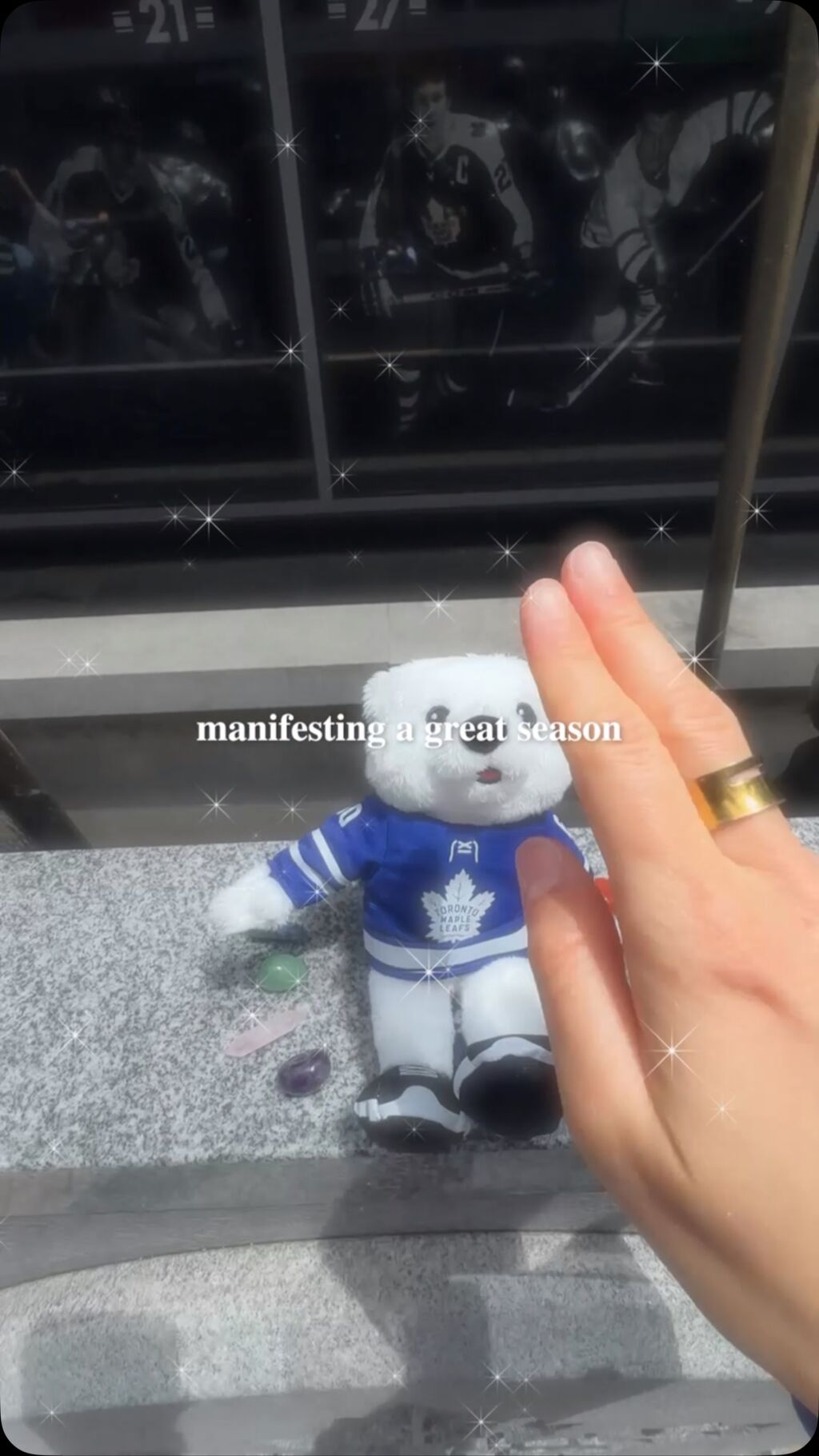 Leafs Fan Access