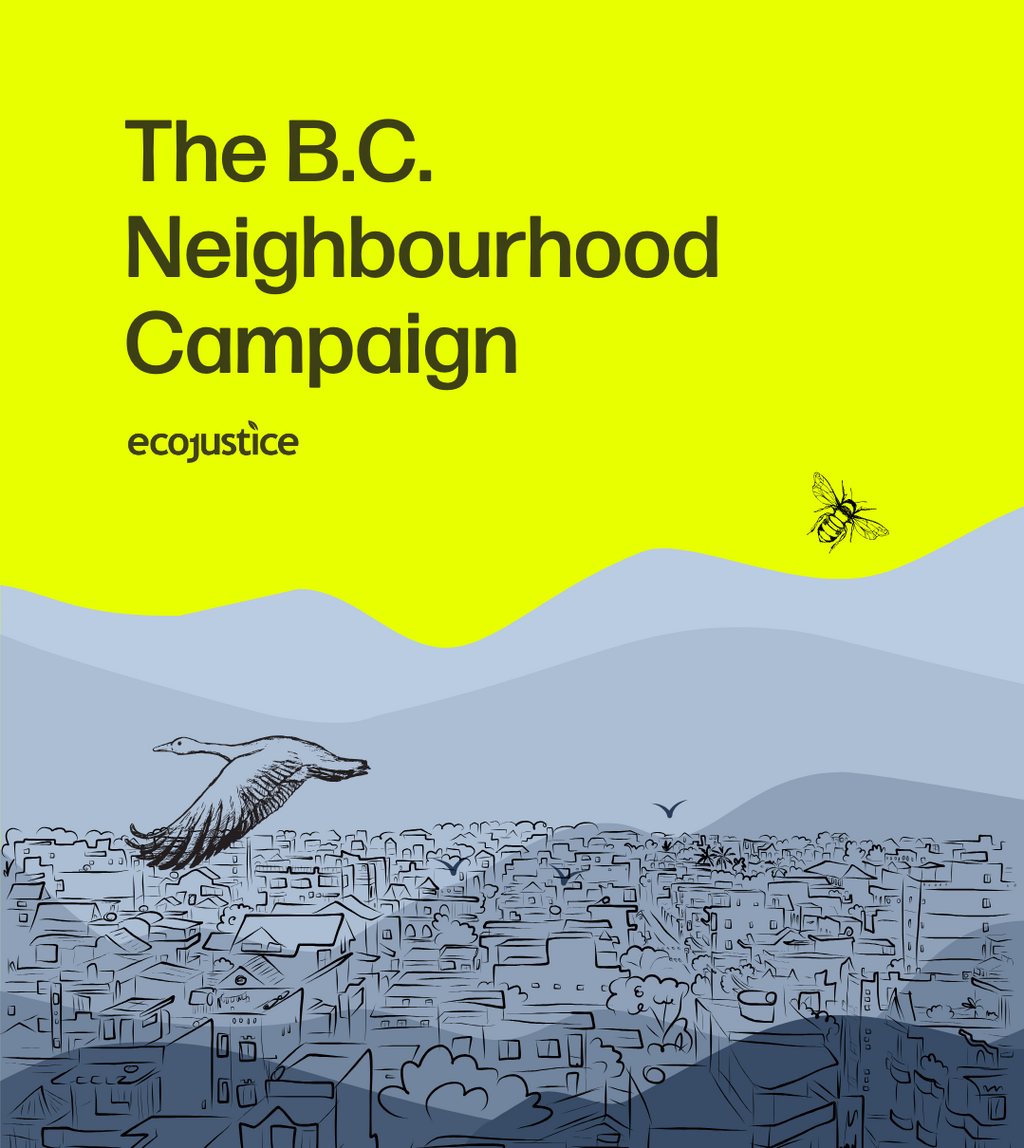 Backyard politics 2026: Talking biodiversity with your MLA