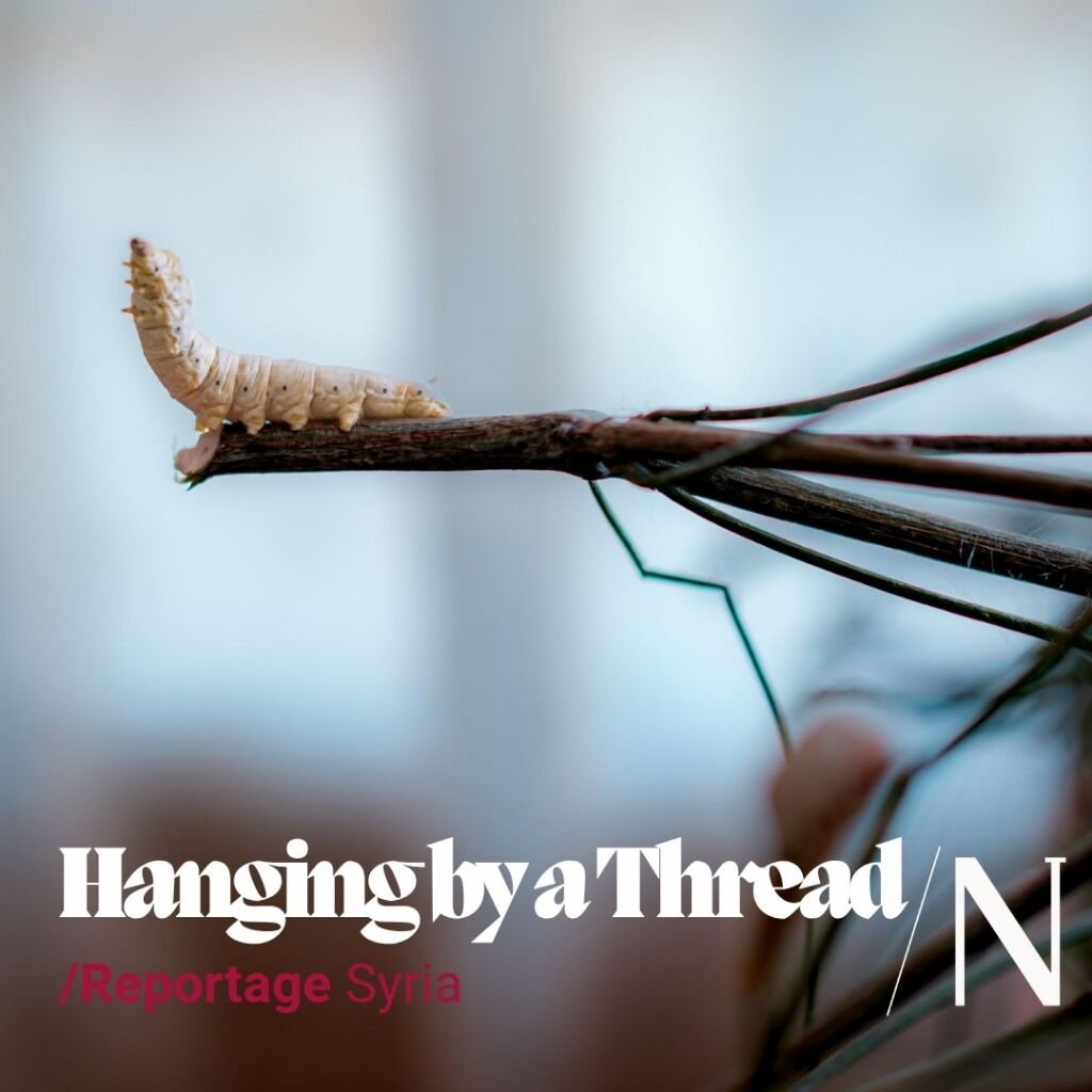 Syria&rsquo;s Last Silkworm Breeders Hang On by a Thread