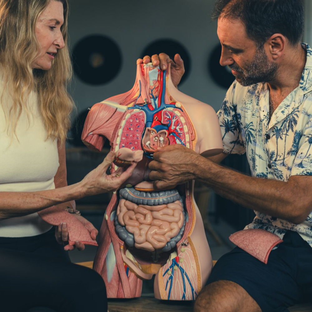 Anatomy in Motion | Oct 15, 2026 - Nov 18, 2026