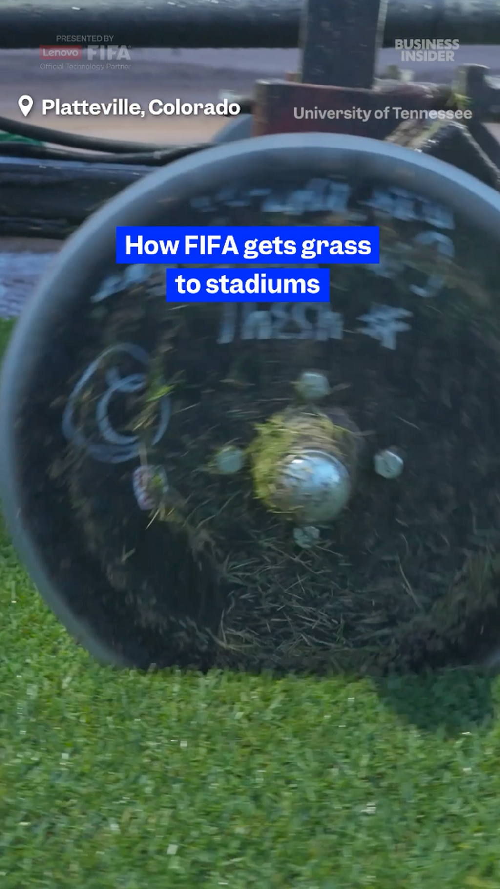 How FIFA gets grass to stadiums
