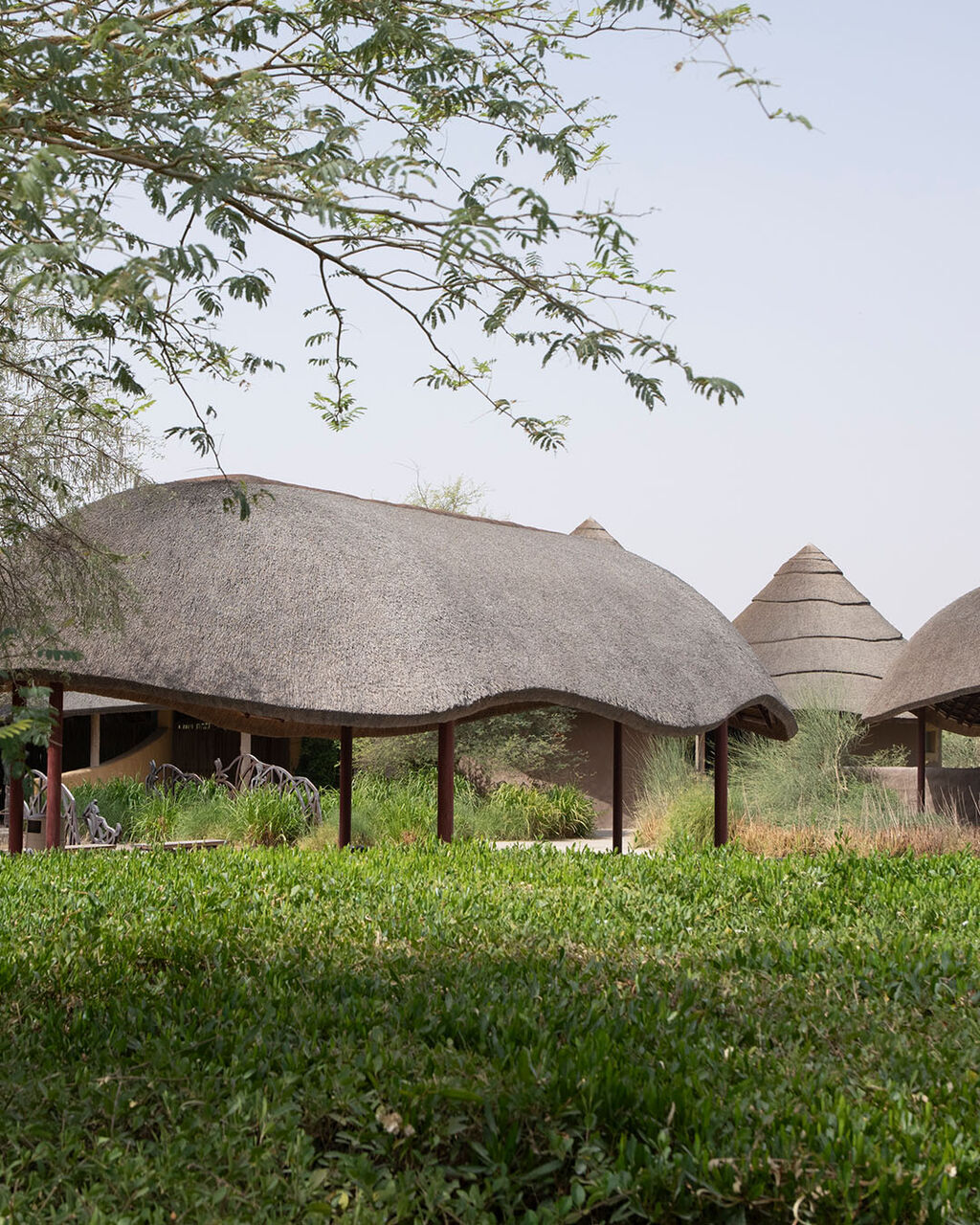 A Quiet Dialogue at Sharjah Bridi Park