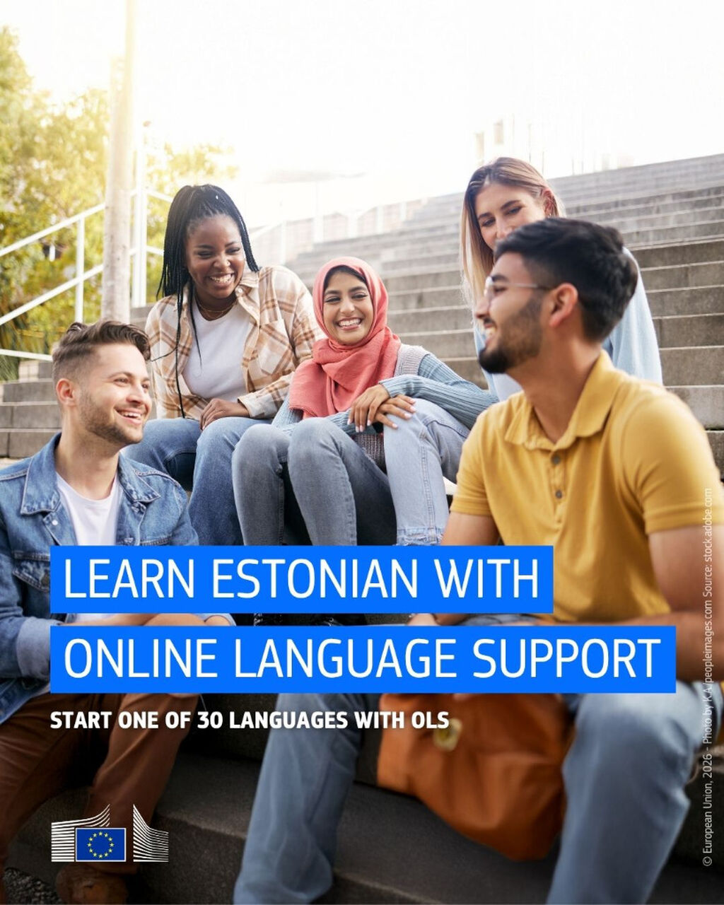 Discover the Estonian language with Online Language Support