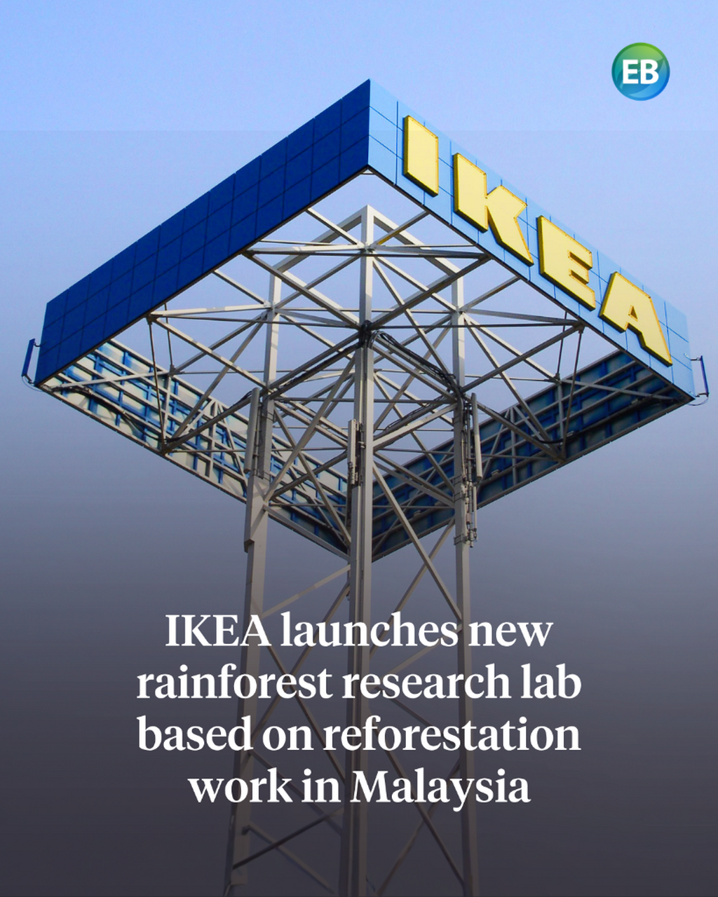 IKEA launches new rainforest research lab based on reforestation work in Malaysia