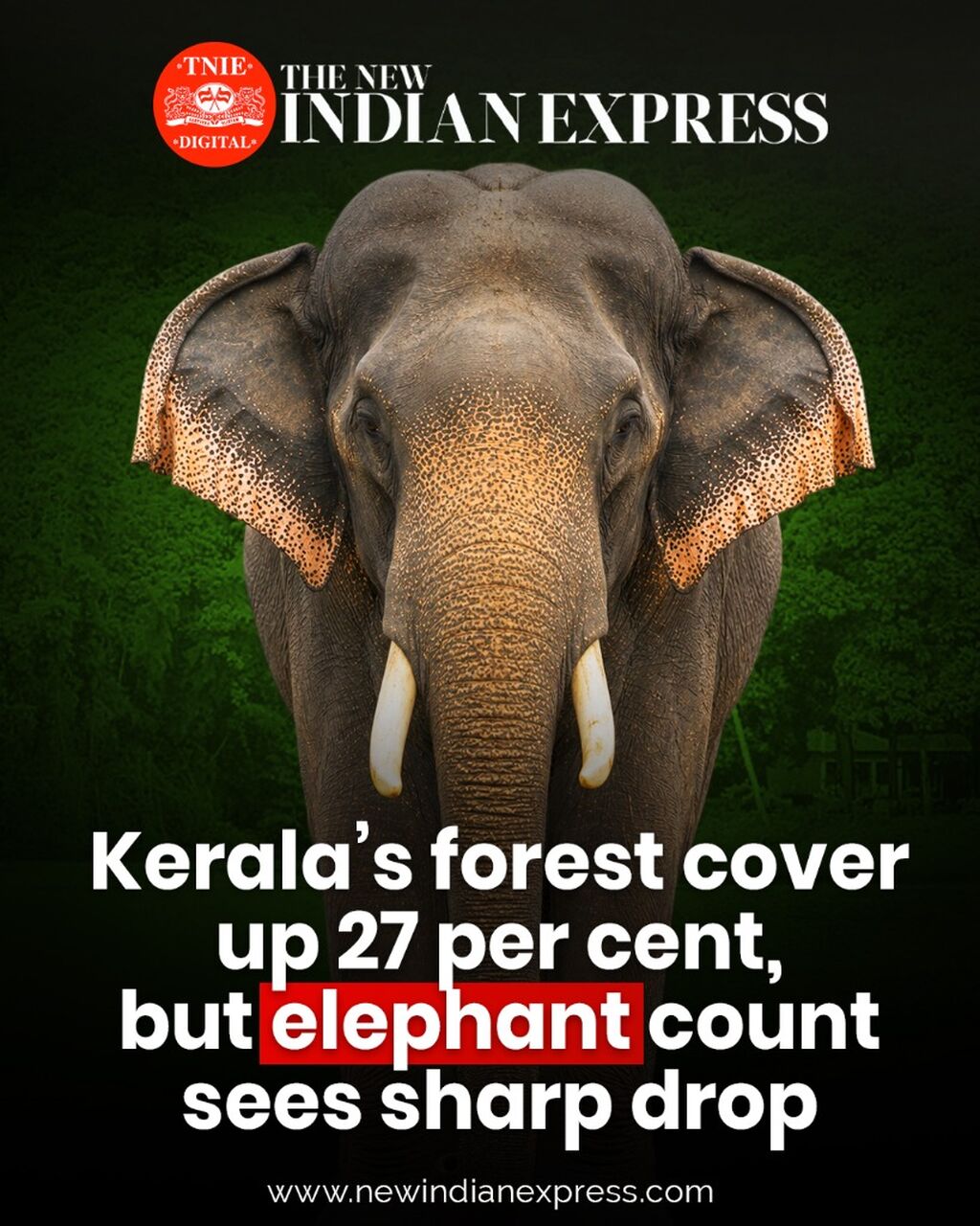 Kerala&rsquo;s forest cover up 27 per cent, but elephant count sees sharp drop