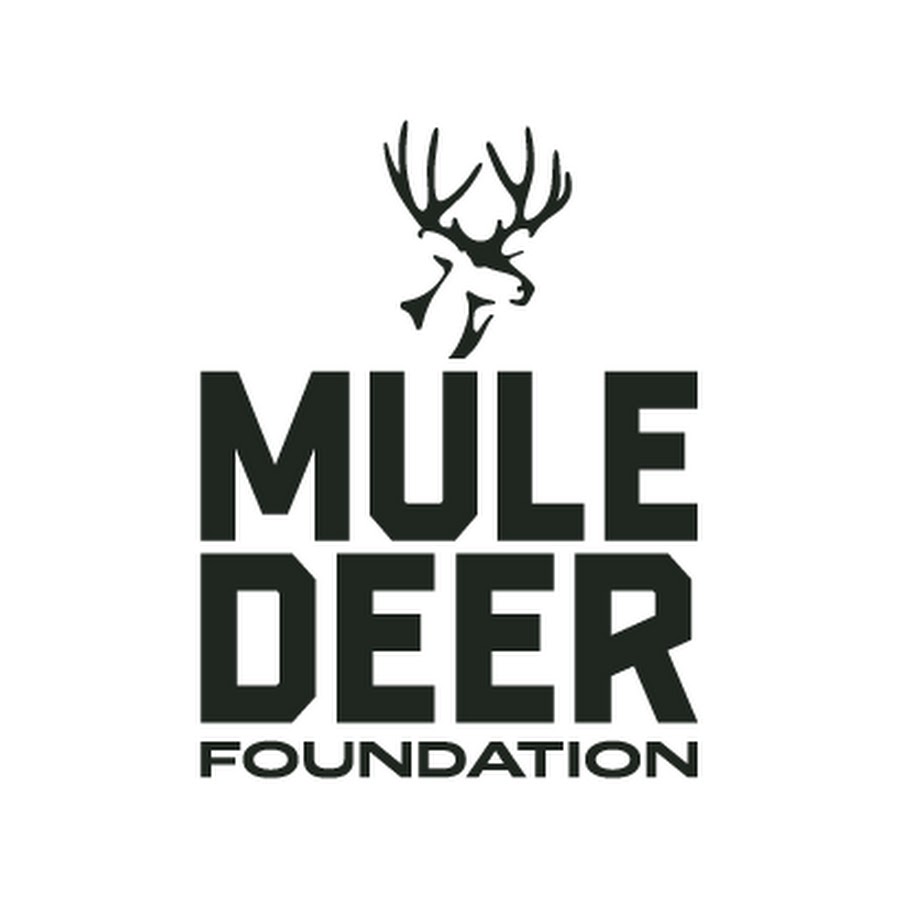 MDF Media YouTube Channel