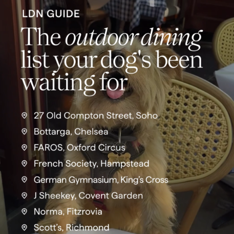 Doggy outdoor dining