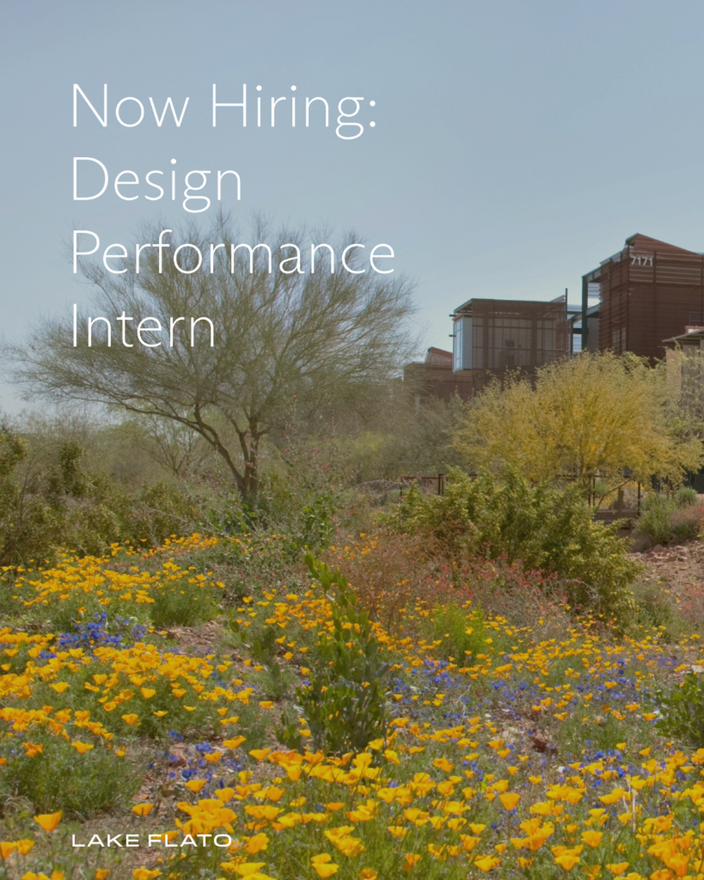 Now Hiring: Design Performance Intern