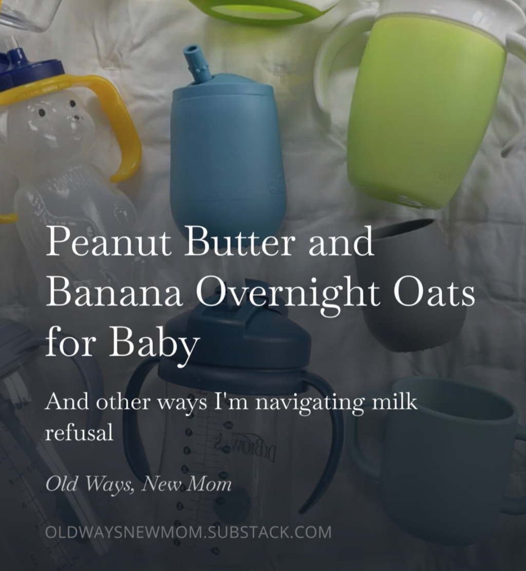 Peanut Butter and Banana Overnight Oats for Babies blog