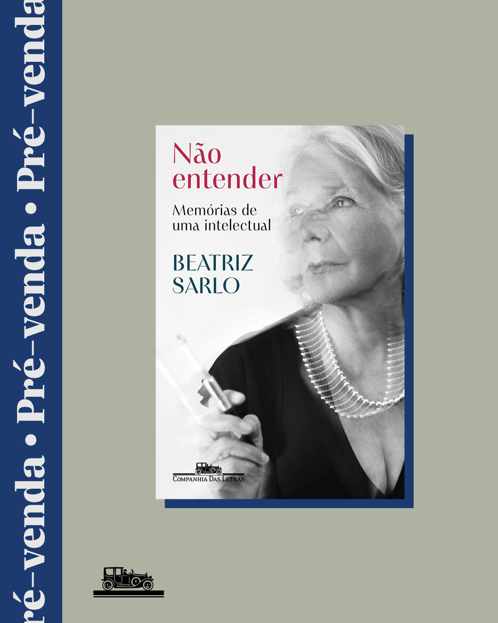 N&atilde;o entender: Mem&oacute;rias de uma intelectual