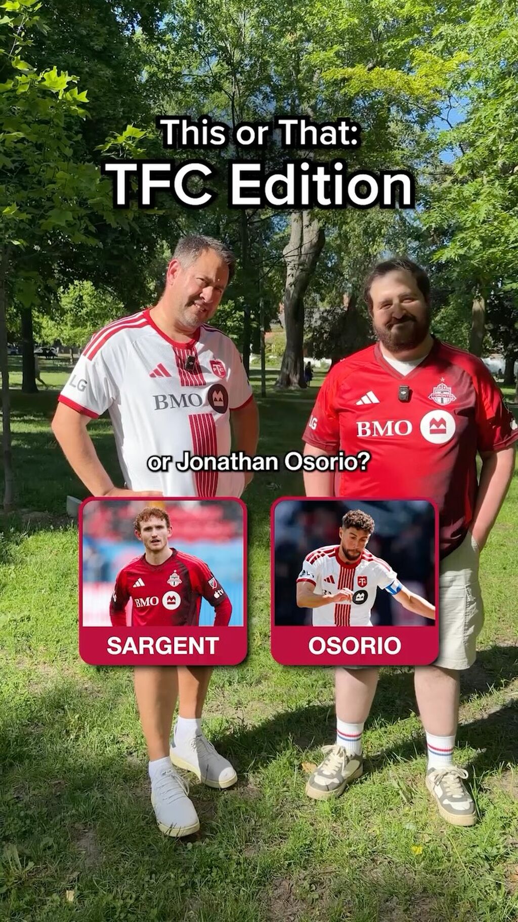 TFC Fan Access