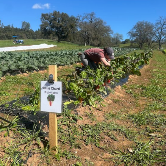 Guide for Prospective Farmers