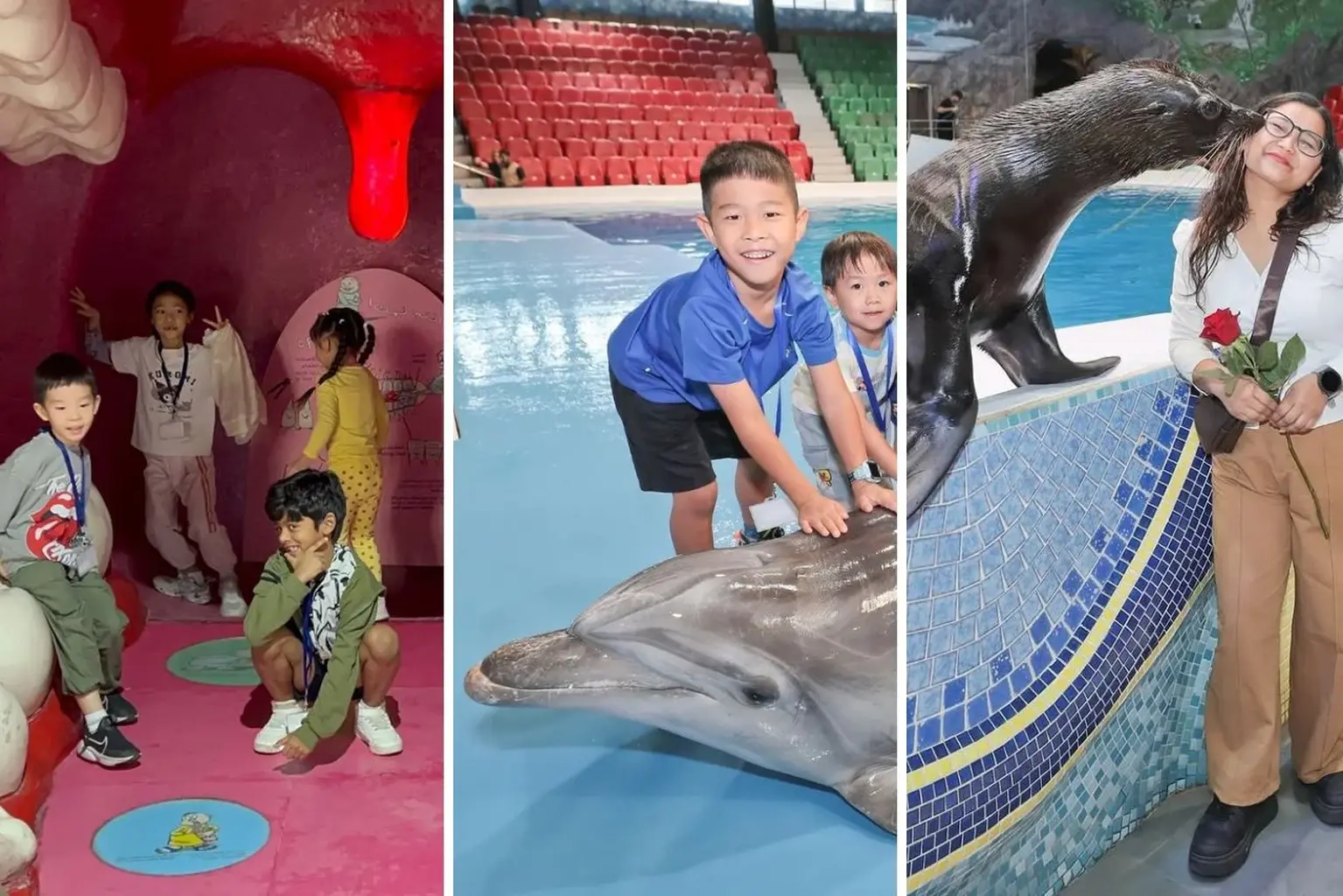 Dubai Dolphinarium: The Middle East's First Indoor Climate-Controlled Dolphin and Marine Entertainment Venue in Creek Park