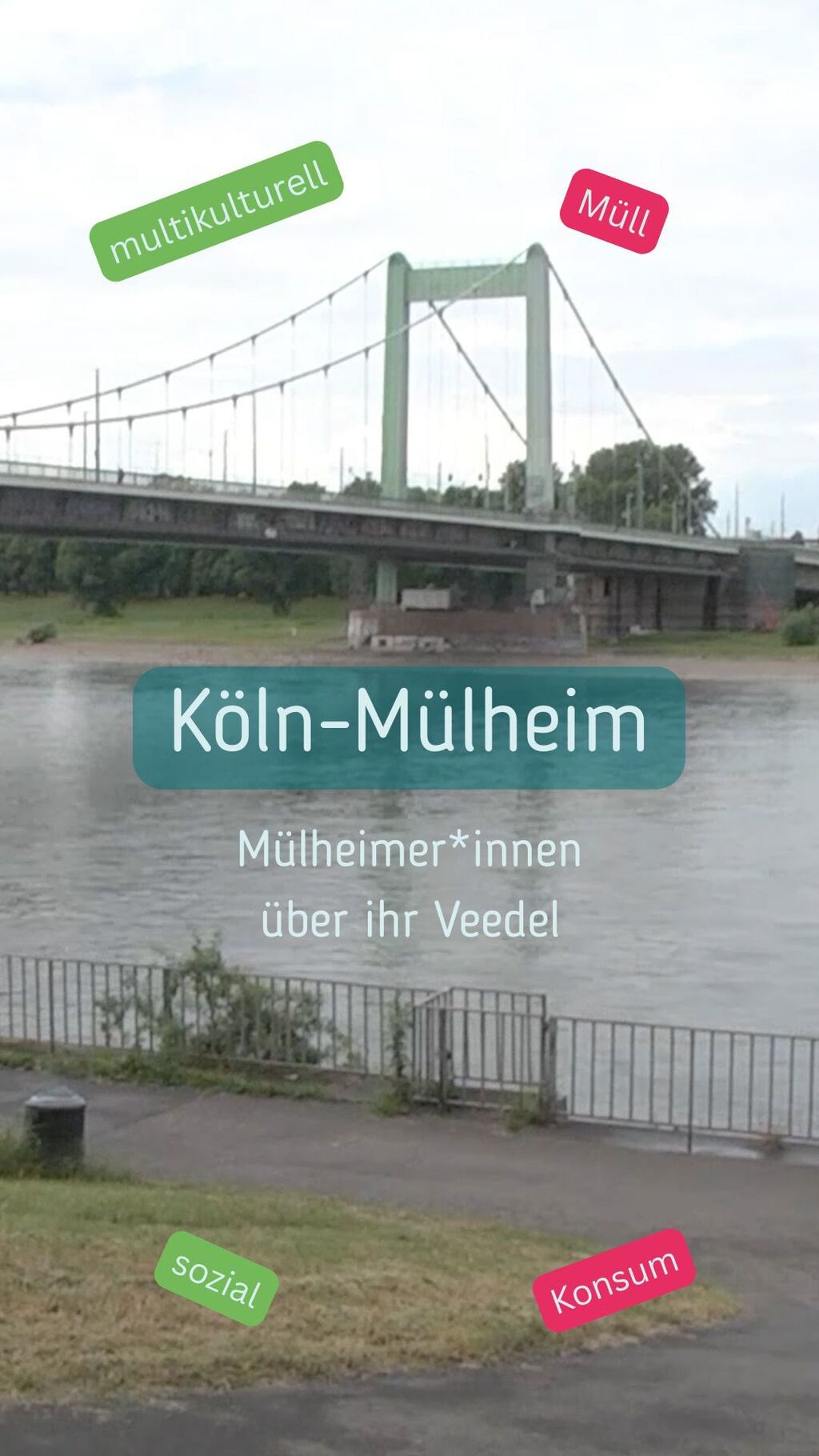 MINT-TV : Veedel-Tipps und Schulalltag 