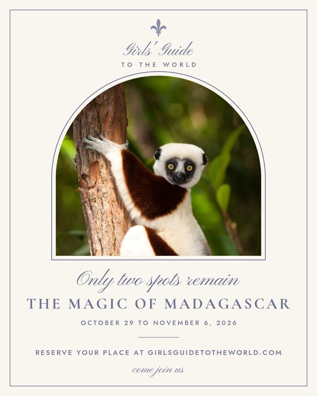 The Magic of Madagascar