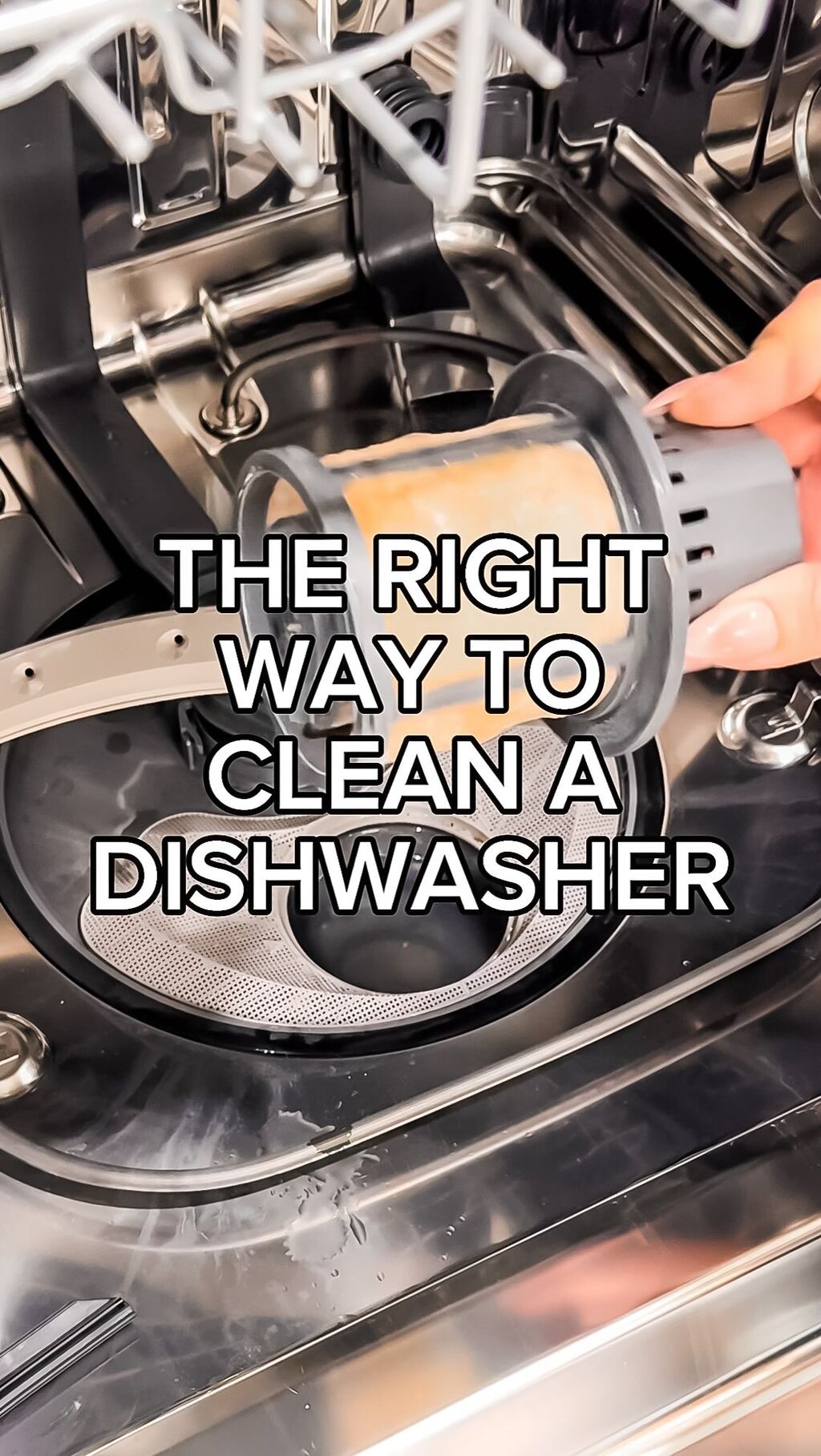 DISHWASHER CLEANING
