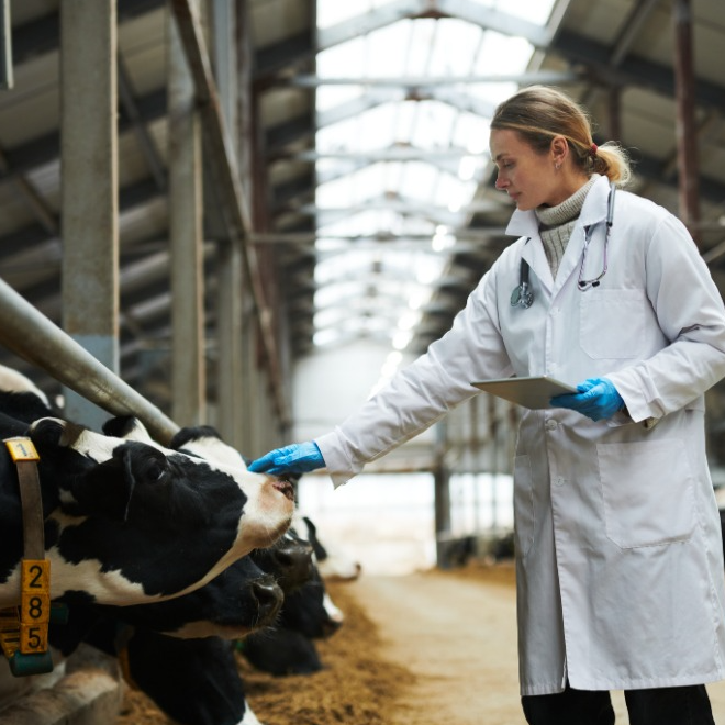 One Health antimicrobial resistance surveillance roundtable