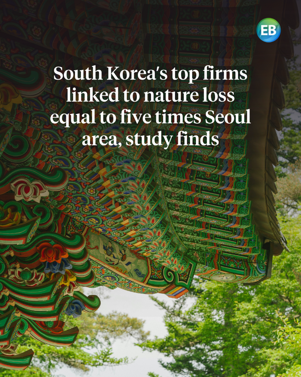 South Korea&rsquo;s top firms linked to nature loss equal to five times Seoul area, study finds