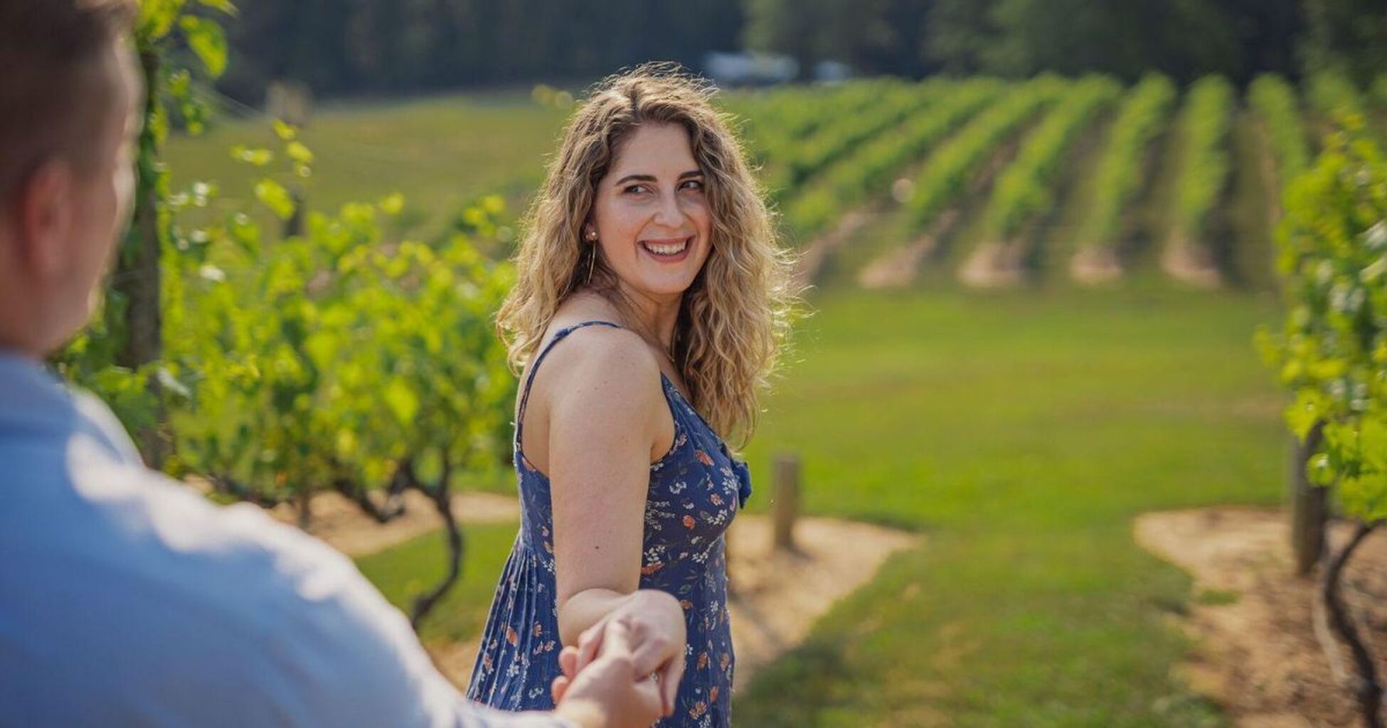 Blue Ridge Breweries, Vineyards & Wineries