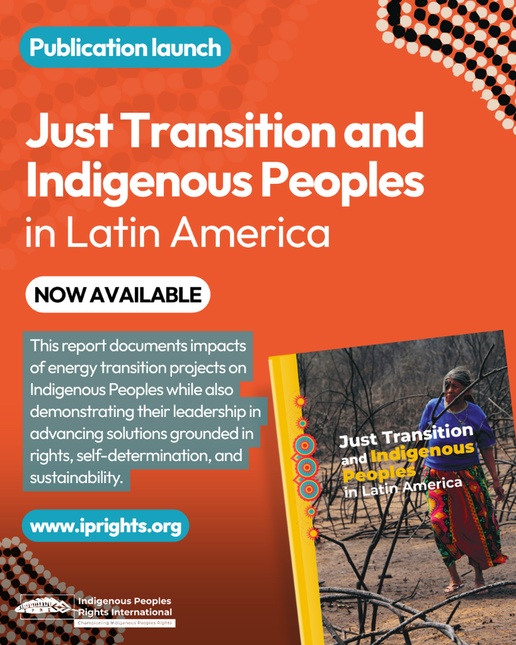 Just Transition and Indigenous Peoples in Latin America