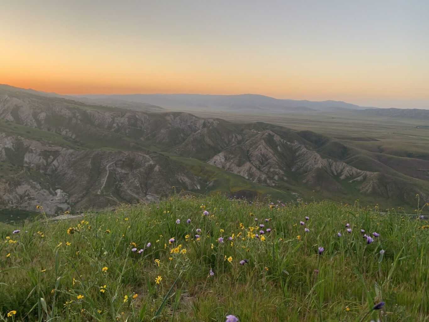 Save Mount Diablo&rsquo;s 2025&ndash;2026 Impact Report