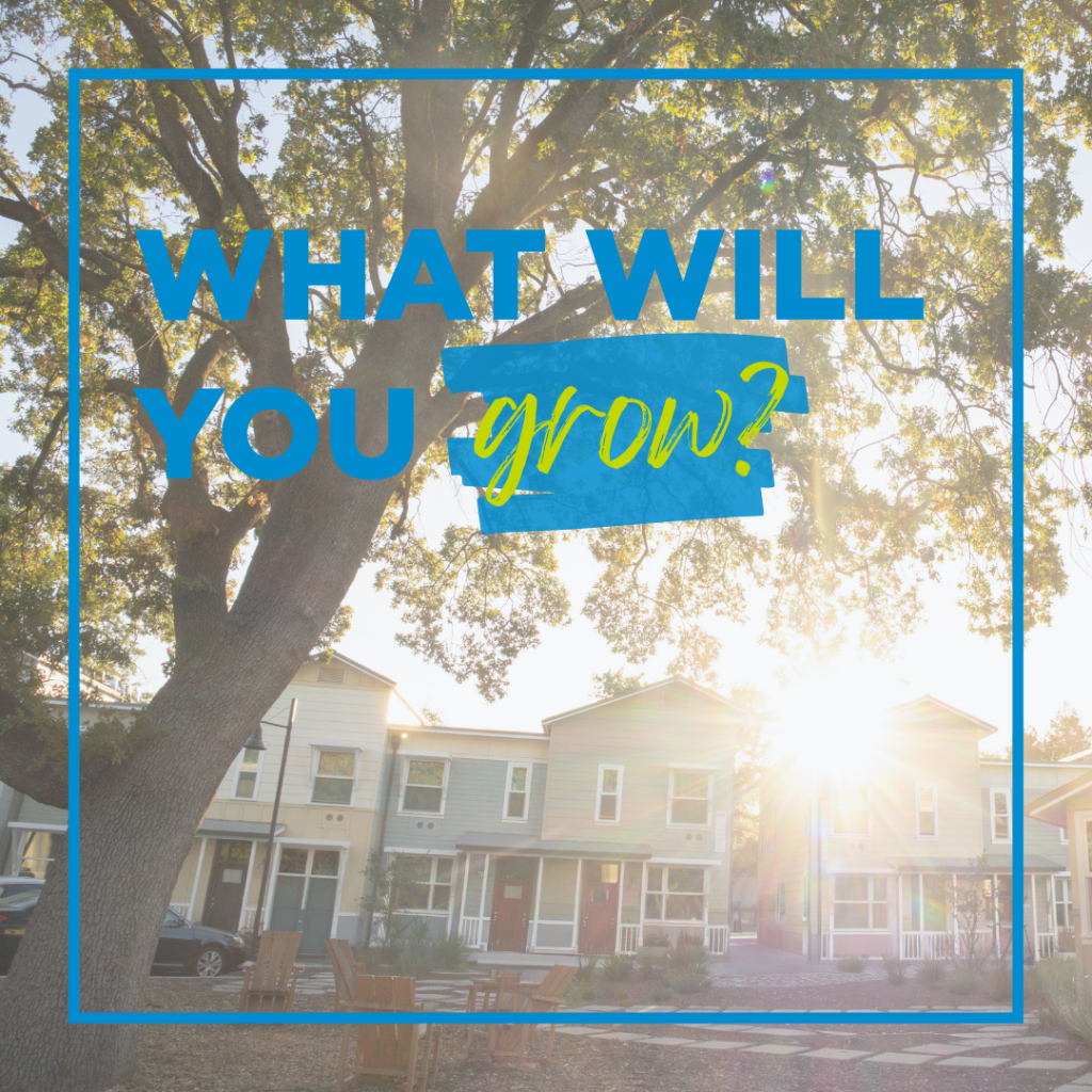 Become a Legacy Builder