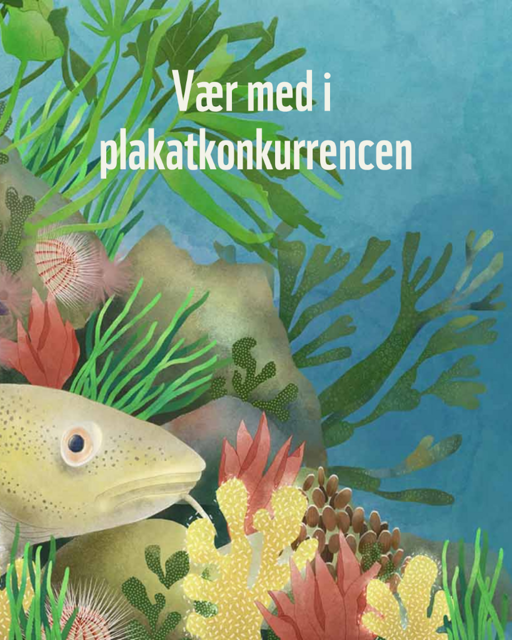 Plakatkonkurrence - Sejer&oslash; Bugt 