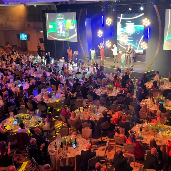 Cateys 2026 reel