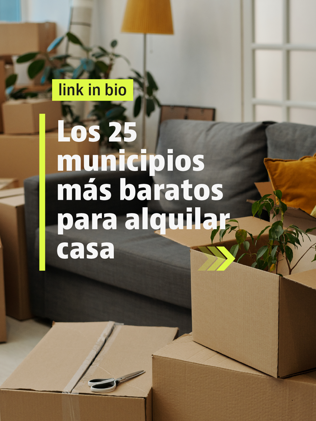 25 municipios alquiler