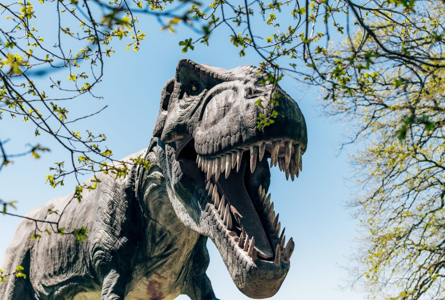 Dubai Dinosaur Park