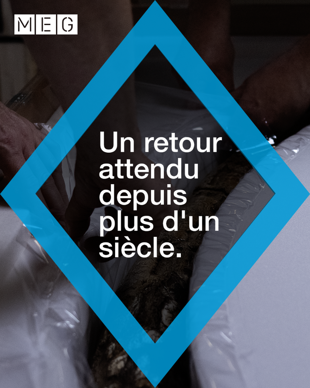 Un retour attendu depuis plus d'un si&egrave;cle.