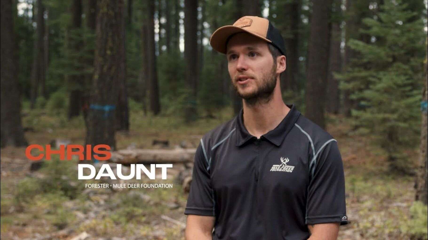 Plumas National Forest - Claremont Forest Resiliency Project
