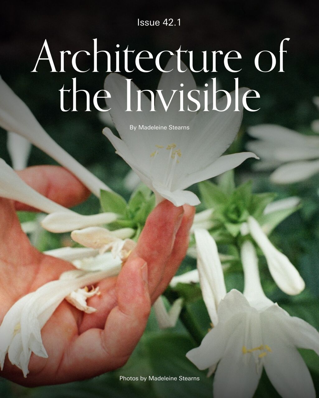 Architecture of the Invisible