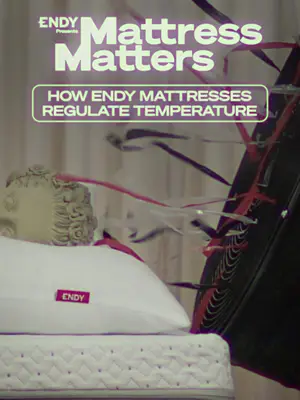 Temperature Regulation