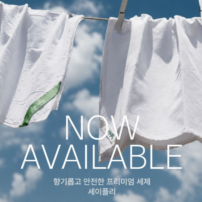 🫧 세이플리세제 자세한설명 (네이버블로그)