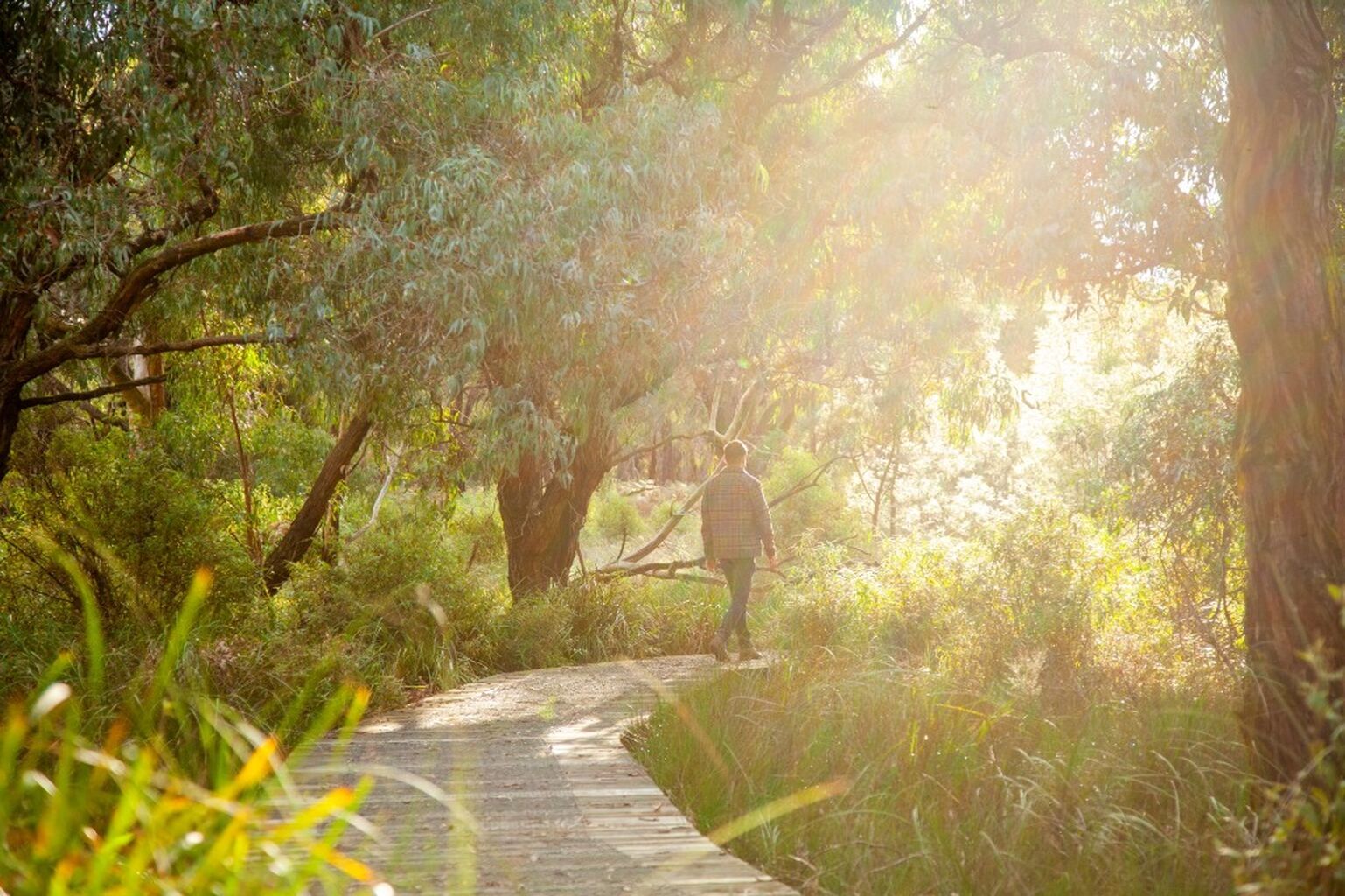 🗳️ Vote for Cranbourne Bushland 