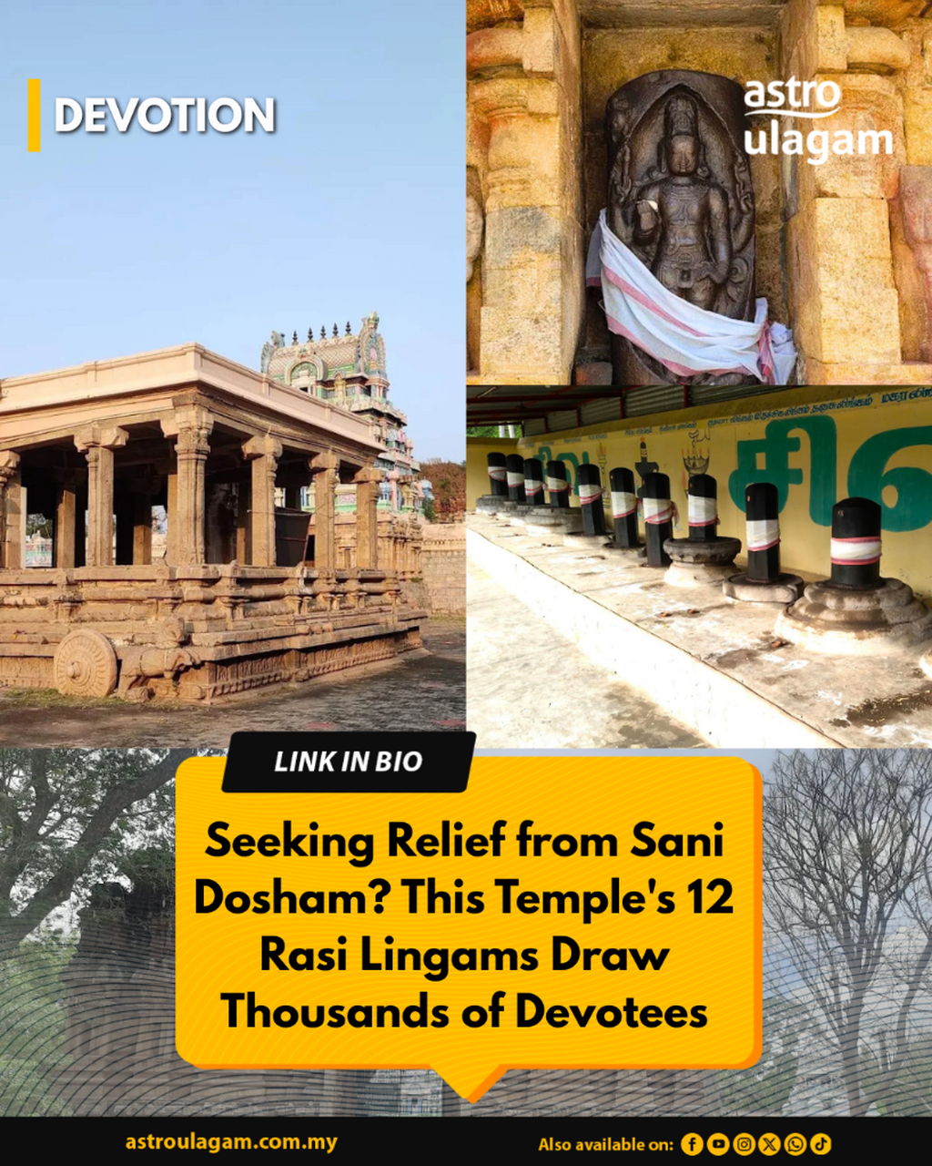 Seeking Relief from Sani Dosham? This Temple's 12 Rasi Lingams Draw Thousands of Devotees