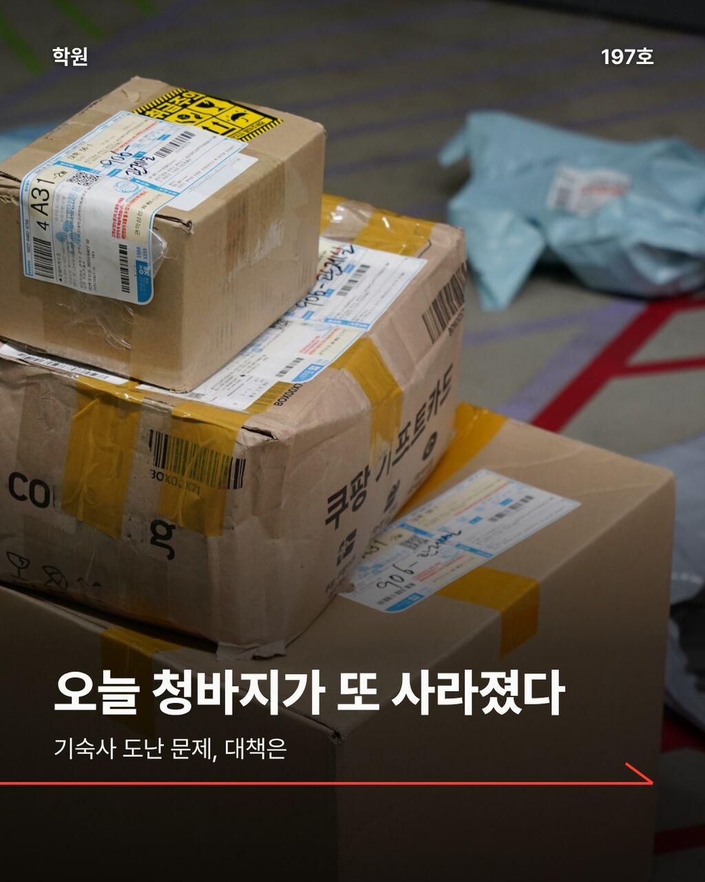 오늘 청바지가 또 사라졌다
